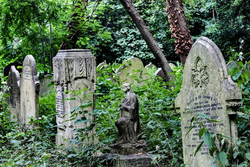 Graveyard overgrown